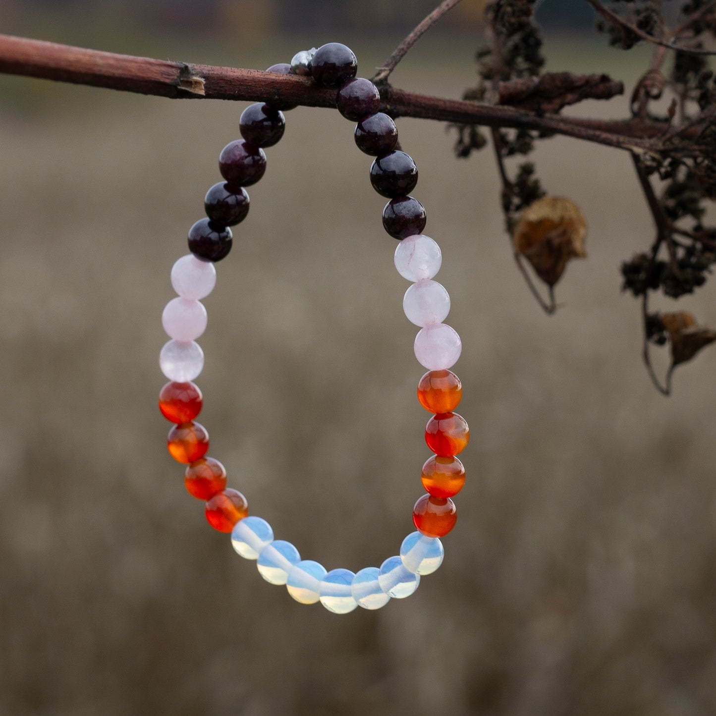Bracelet Titanide pierre de lune - Ovie Bijoux sur une branche d'arbre